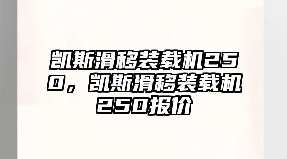 凱斯滑移裝載機250，凱斯滑移裝載機250報價