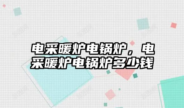 電采暖爐電鍋爐，電采暖爐電鍋爐多少錢