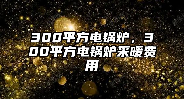 300平方電鍋爐，300平方電鍋爐采暖費用