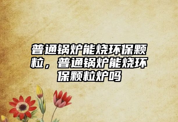 普通鍋爐能燒環(huán)保顆粒，普通鍋爐能燒環(huán)保顆粒爐嗎