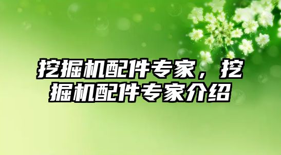 挖掘機配件專家，挖掘機配件專家介紹