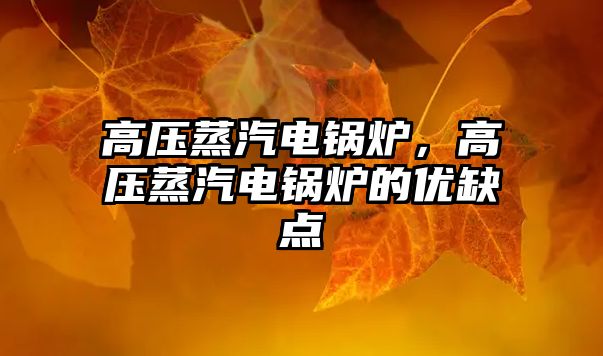 高壓蒸汽電鍋爐，高壓蒸汽電鍋爐的優(yōu)缺點