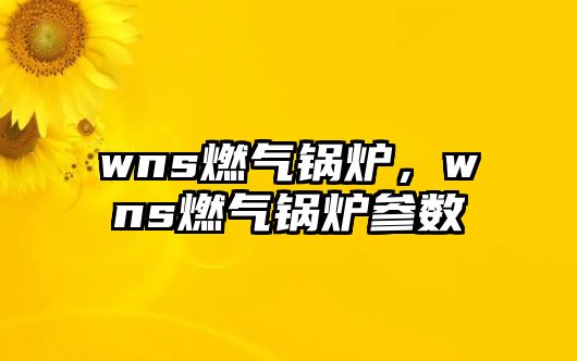 wns燃?xì)忮仩t，wns燃?xì)忮仩t參數(shù)