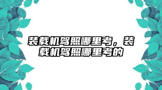 裝載機駕照哪里考，裝載機駕照哪里考的