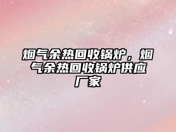 煙氣余熱回收鍋爐，煙氣余熱回收鍋爐供應廠家