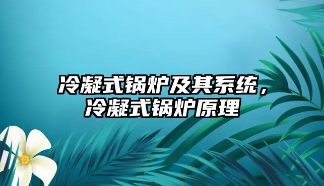 冷凝式鍋爐及其系統(tǒng)，冷凝式鍋爐原理