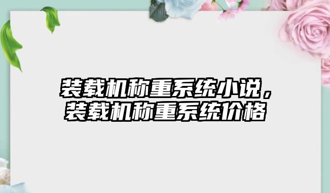 裝載機稱重系統(tǒng)小說，裝載機稱重系統(tǒng)價格