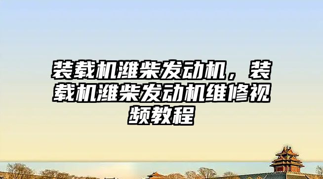 裝載機濰柴發(fā)動機，裝載機濰柴發(fā)動機維修視頻教程