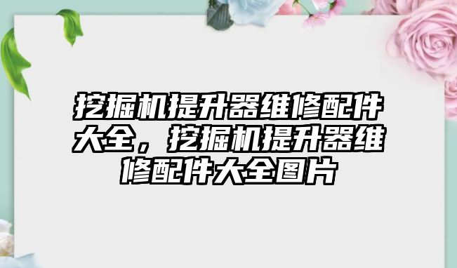 挖掘機提升器維修配件大全，挖掘機提升器維修配件大全圖片