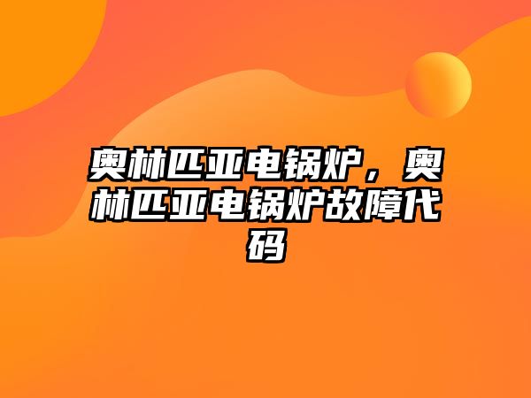 奧林匹亞電鍋爐，奧林匹亞電鍋爐故障代碼