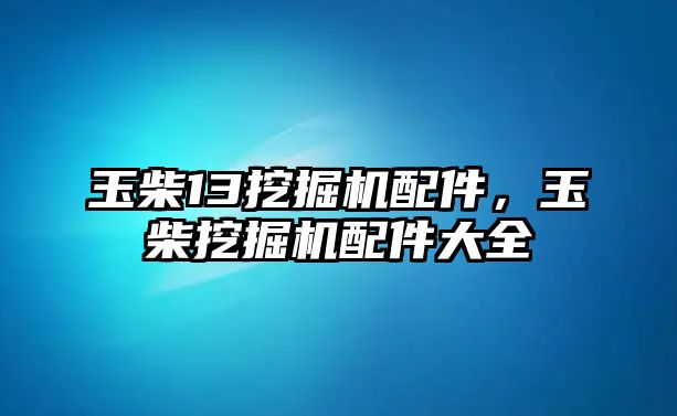 玉柴13挖掘機(jī)配件，玉柴挖掘機(jī)配件大全