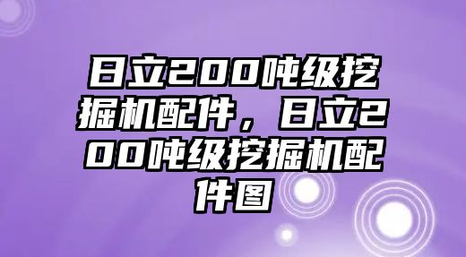 日立200噸級(jí)挖掘機(jī)配件，日立200噸級(jí)挖掘機(jī)配件圖