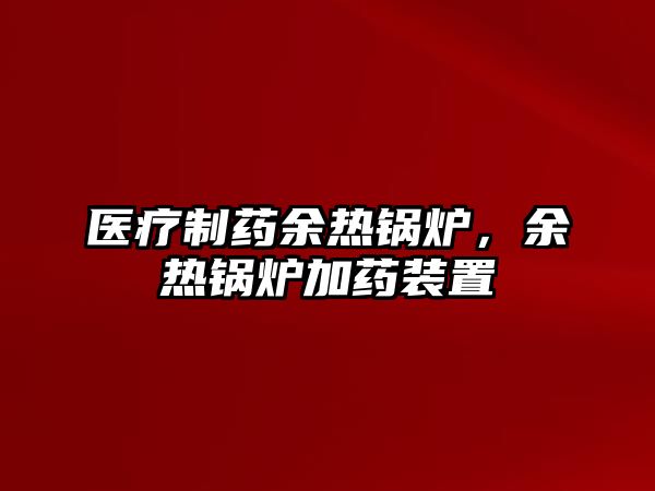 醫(yī)療制藥余熱鍋爐，余熱鍋爐加藥裝置