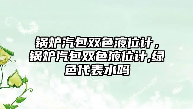 鍋爐汽包雙色液位計(jì)，鍋爐汽包雙色液位計(jì),綠色代表水嗎