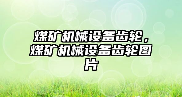 煤礦機械設(shè)備齒輪，煤礦機械設(shè)備齒輪圖片