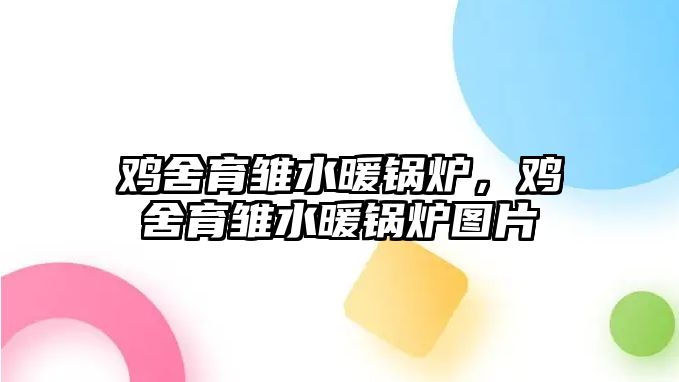 雞舍育雛水暖鍋爐，雞舍育雛水暖鍋爐圖片