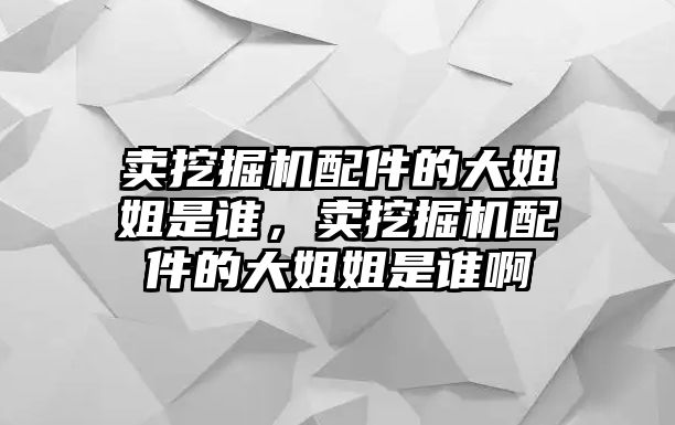 賣挖掘機(jī)配件的大姐姐是誰，賣挖掘機(jī)配件的大姐姐是誰啊