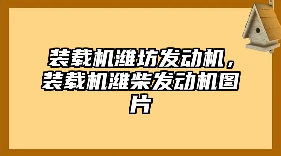 裝載機濰坊發(fā)動機，裝載機濰柴發(fā)動機圖片