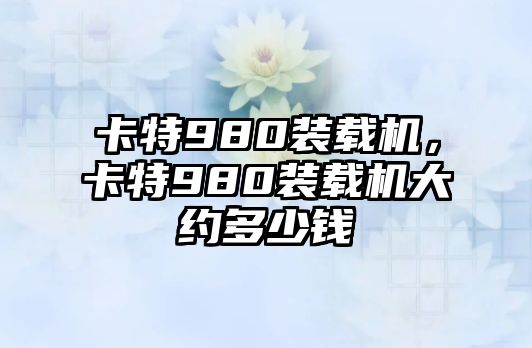 卡特980裝載機，卡特980裝載機大約多少錢