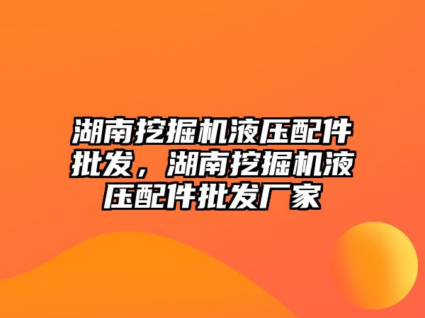 湖南挖掘機液壓配件批發(fā)，湖南挖掘機液壓配件批發(fā)廠家