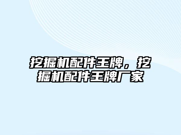 挖掘機配件王牌，挖掘機配件王牌廠家