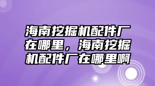 海南挖掘機配件廠在哪里，海南挖掘機配件廠在哪里啊