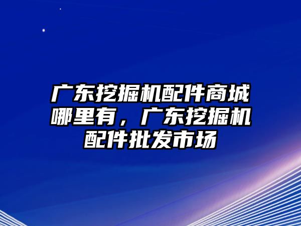 廣東挖掘機(jī)配件商城哪里有，廣東挖掘機(jī)配件批發(fā)市場(chǎng)