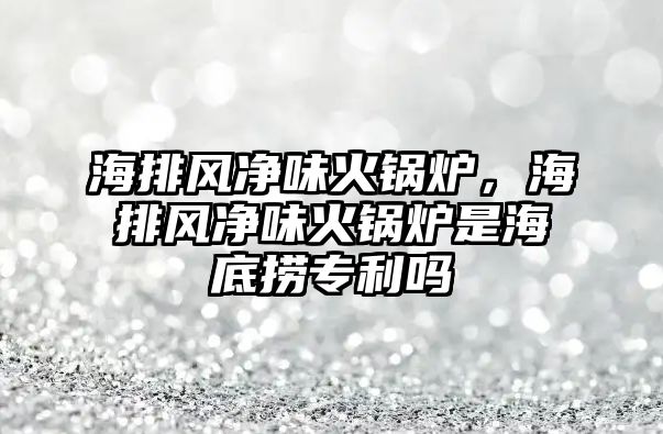 海排風凈味火鍋爐，海排風凈味火鍋爐是海底撈專利嗎