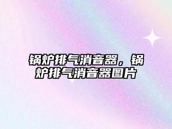 鍋爐排氣消音器，鍋爐排氣消音器圖片