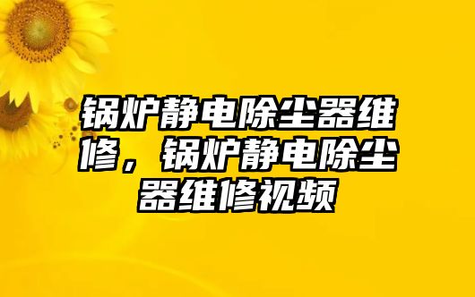 鍋爐靜電除塵器維修，鍋爐靜電除塵器維修視頻