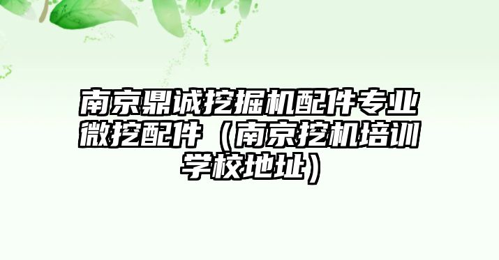 南京鼎誠(chéng)挖掘機(jī)配件專業(yè)微挖配件（南京挖機(jī)培訓(xùn)學(xué)校地址）