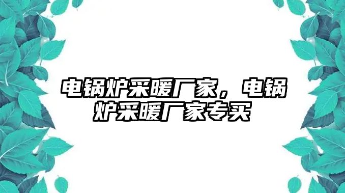 電鍋爐采暖廠家，電鍋爐采暖廠家專買