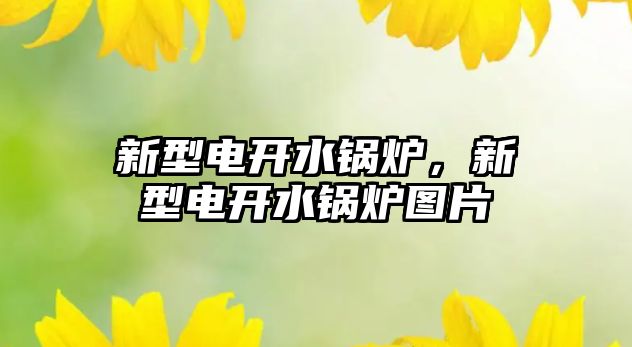 新型電開水鍋爐，新型電開水鍋爐圖片