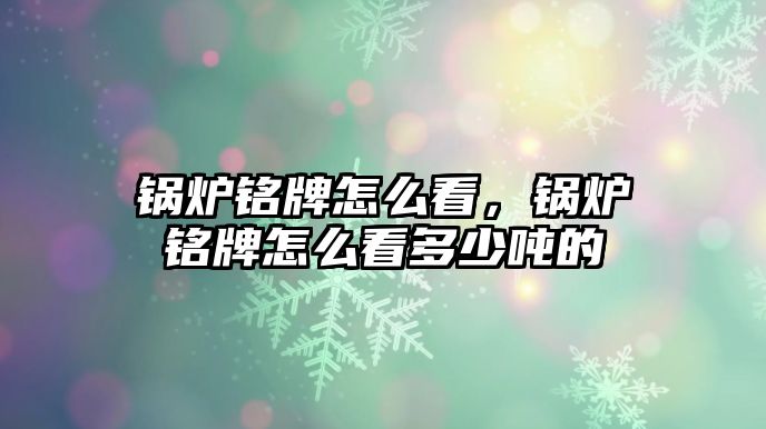 鍋爐銘牌怎么看，鍋爐銘牌怎么看多少噸的