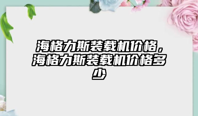 海格力斯裝載機(jī)價(jià)格，海格力斯裝載機(jī)價(jià)格多少