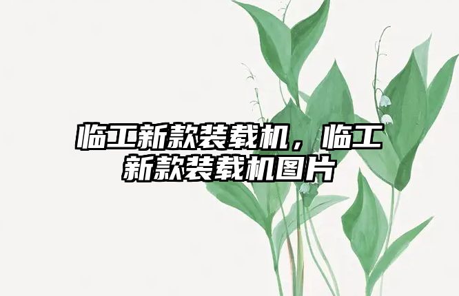 臨工新款裝載機(jī)，臨工新款裝載機(jī)圖片