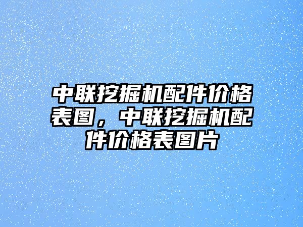 中聯(lián)挖掘機(jī)配件價(jià)格表圖，中聯(lián)挖掘機(jī)配件價(jià)格表圖片