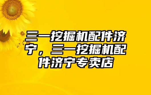 三一挖掘機配件濟寧，三一挖掘機配件濟寧專賣店