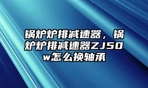 鍋爐爐排減速器，鍋爐爐排減速器ZJ50w怎么換軸承