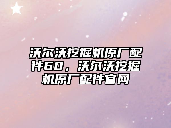 沃爾沃挖掘機(jī)原廠配件60，沃爾沃挖掘機(jī)原廠配件官網(wǎng)