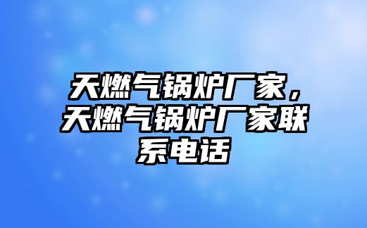 天燃?xì)忮仩t廠家，天燃?xì)忮仩t廠家聯(lián)系電話