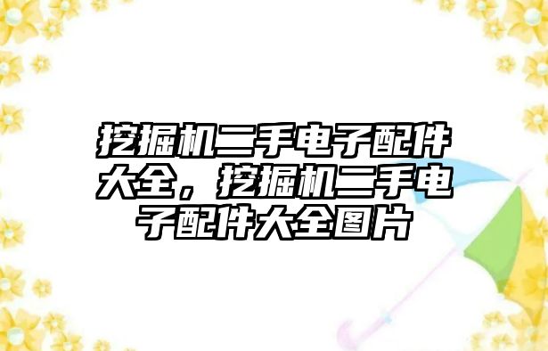 挖掘機(jī)二手電子配件大全，挖掘機(jī)二手電子配件大全圖片