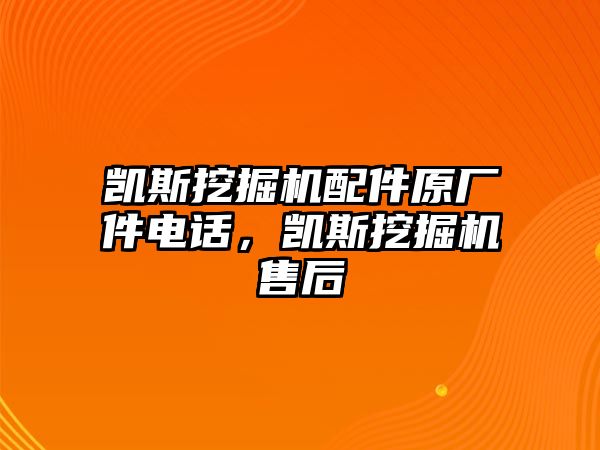 凱斯挖掘機(jī)配件原廠件電話，凱斯挖掘機(jī)售后