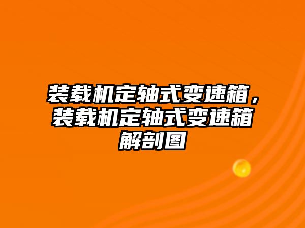 裝載機定軸式變速箱，裝載機定軸式變速箱解剖圖