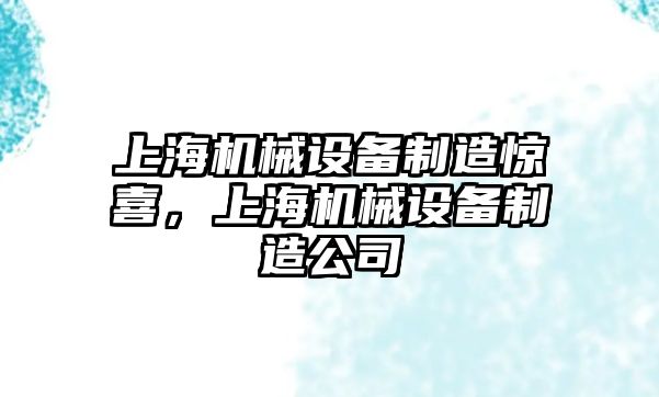 上海機械設(shè)備制造驚喜，上海機械設(shè)備制造公司