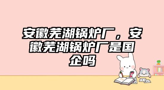 安徽蕪湖鍋爐廠，安徽蕪湖鍋爐廠是國企嗎