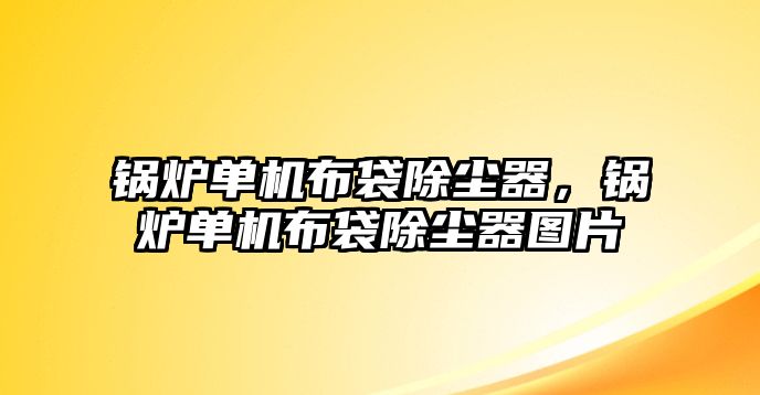 鍋爐單機(jī)布袋除塵器，鍋爐單機(jī)布袋除塵器圖片