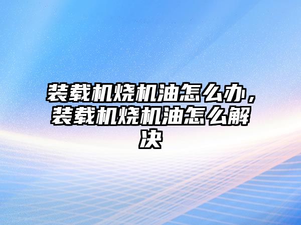 裝載機燒機油怎么辦，裝載機燒機油怎么解決