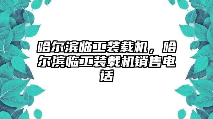 哈爾濱臨工裝載機(jī)，哈爾濱臨工裝載機(jī)銷售電話