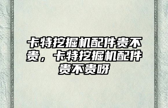 卡特挖掘機配件貴不貴，卡特挖掘機配件貴不貴呀